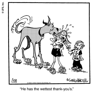 marmaduke